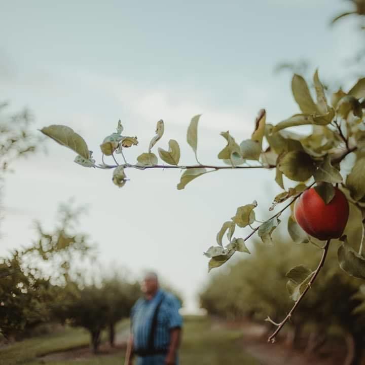 Camps Orchard